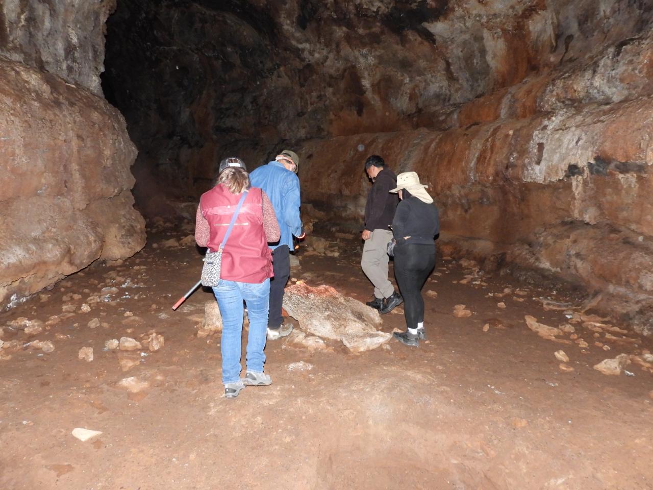 Hidalgo fortalece la conservación de murciélagos tras registro relevante en cueva de Cuautepec